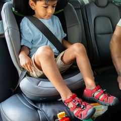 Universal Seat Protector