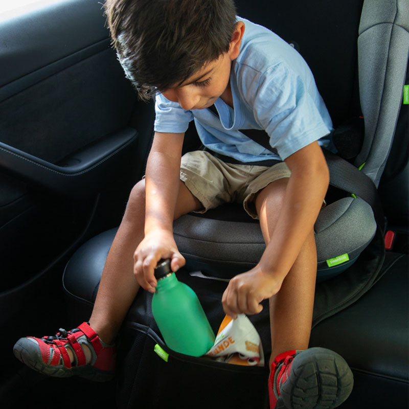 Universal Seat Protector